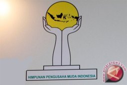 Hipmi Soroti Ketimpangan Dalam Penguasaan Aset Negara