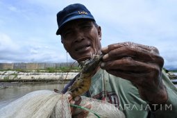 Menjaring Ikan
