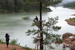 Wahana Hutan Pinus Ranu Gumbolo