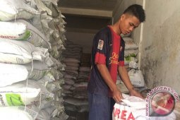 Harga Pupuk Kelapa Sawit Turun