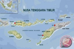Pelaku Penikaman Tujuh Siswa SD di Sabu Meninggal