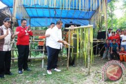 Bupati Inhu Buka Festival "Batang Gansal"