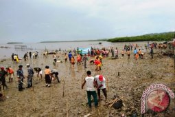 Lanal Saumlaki Tanam 1.500 Bakau di Bomaki