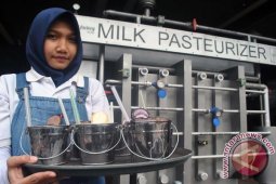 Menikmati Susu Dari Ember Mini