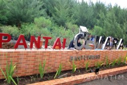 Wisata Pantai Cemara Banyuwangi