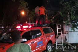 Angin Kencang Landa 13 Kecamatan di Pamekasan
