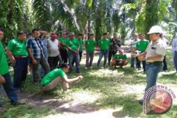 Asian Agri Komitmen Dukung Sawit Berkelanjutan