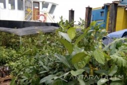 Dinas Pertanian Jatim Sita Benih Tanpa Label