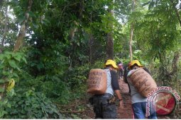 Antara  Hijaukan Objek Wisata Bukit Batas