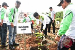 POTENSI KOPI DESA LOK TUNGGUL PENGARON