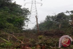 PLN Babel Perbaiki Tower SUTT Kelapa