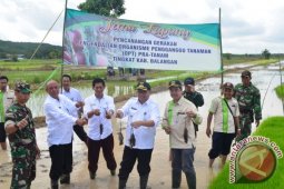 BUPATI TANGKAP TIKUS