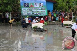 Ketua MPR dan Mentan Jajal Mesin Penanam Padi Otomatis