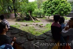Wisata Kebun Binatang Surabaya