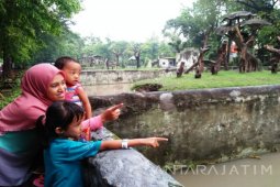 61 Ribu Pengunjung Berwisata ke KBS di Tahun Baru