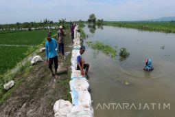Dinas Pengairan Bojonegoro akan Perbaiki Tanggul Ingas yang Jebol