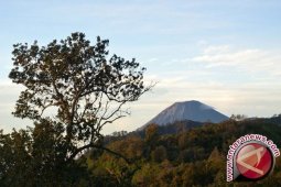 Tiga Pendaki Semeru Yang Tersesat Ditemukan Selamat