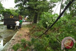 Hujan deras serta angin kencang landa aceh barat
