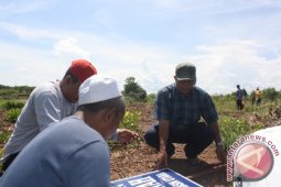 Kotabaru Kembangkan Taman Pemakaman Umum