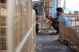 Kerajinan Sangkar Burung