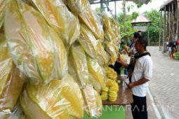 Pemkab Bojonegoro Sosialisi Revolusi Data 10 Desa