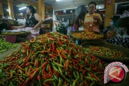 Harga cabai rawit di Raja Ampat tembus Rp200.000