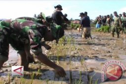 Mempersembahkan Mahakarya Swasembada Pangan