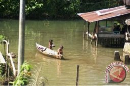 Selain Rumah Puluhan Hektare Sawah Ikut Terendam