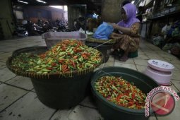 Pemprov Jatim Berupaya Stabilkan Harga Cabai