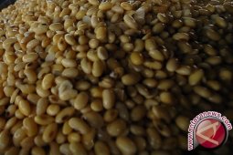 Harga Kedelai Impor di Distributor Babel Naik
