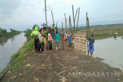 Warga Kedungarum Bojonegoro Tinggikan Tanggul Ingas