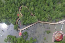 Gorontalo Utara Bangun "tracking Mangrove" Untuk Wisata