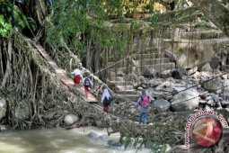 Jembatan Akar Pessel