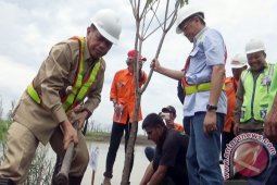 Tapin Serius Kembangkan Ekowisata Bekantan
