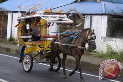 Pemkot Gorontalo Akan Aktifkan Transportasi "Kuda Bendi"
