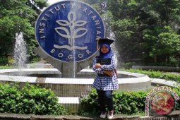 PENERIMA BUD ADARO