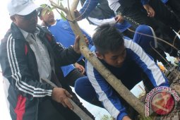 Pemkab Tanah Laut Tanam Pohon