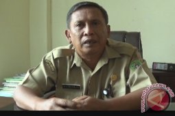 Distanak: Serangan Hama Akibat Sistem Pengolahan Lahan
