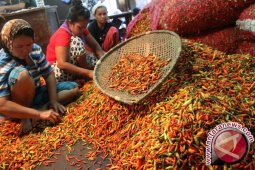 Harga Cabai Rawit di Babel Kembali Naik