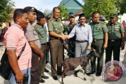 Pangdam Imbau Warga Pelauw Buka Lahan Pertanian
