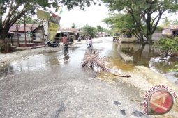 Walhi: Solusi banjir Singkil harus segera reboisasi