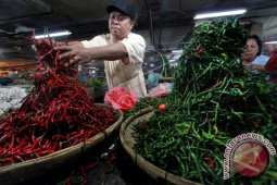 Harga Cabai Turun