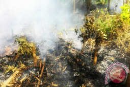 Warga diminta jaga lahan dari kebakaran