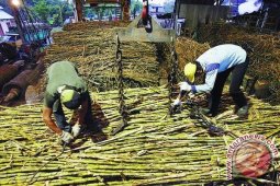 DPR RI Tinjau Tiga Pabrik Gula Situbondo