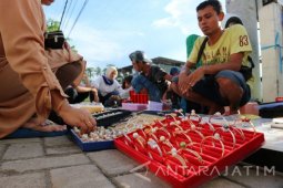 Pilihlah Mutiara Nanelok di Lombok (Video)