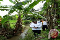 Wakil Walikota Sisir Sungai Tinjau Penyebab Banjir