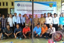 BI Kaltim Kuatkan Kelembagaan Peternak Sapi