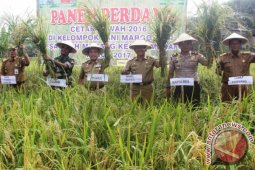 Merangin peroleh bantuan pencetakan 500 hektare sawah