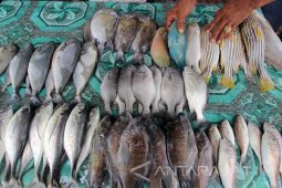 Pemprov Jatim Siapkan Diversifikasi Antisipasi Kelangkaan Ikan
