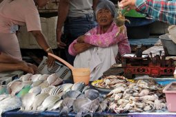 Pemprov Jatim Fokus Tingkatkan Kualitas Pelabuhan Perikanan